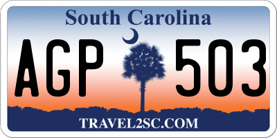 SC license plate AGP503