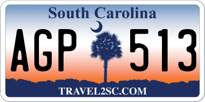SC license plate AGP513