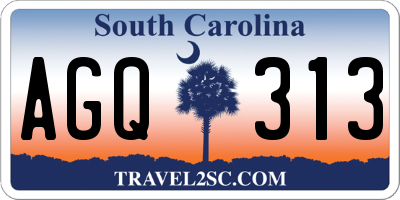 SC license plate AGQ313