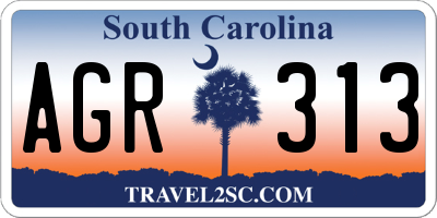 SC license plate AGR313