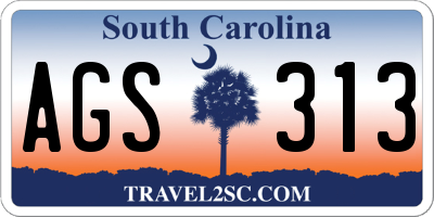 SC license plate AGS313