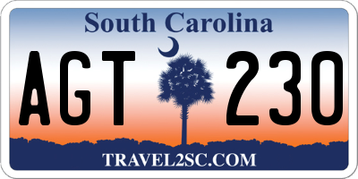 SC license plate AGT230