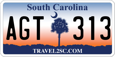 SC license plate AGT313