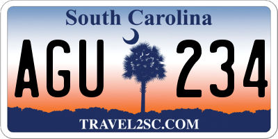 SC license plate AGU234