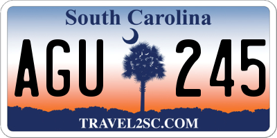 SC license plate AGU245