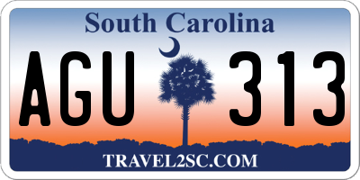 SC license plate AGU313