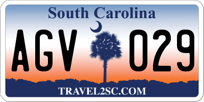 SC license plate AGV029