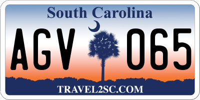 SC license plate AGV065
