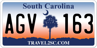 SC license plate AGV163