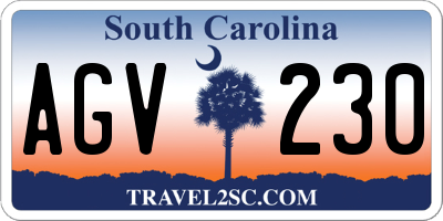 SC license plate AGV230
