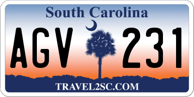 SC license plate AGV231