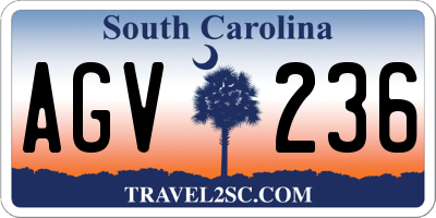 SC license plate AGV236