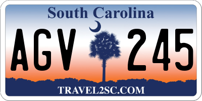 SC license plate AGV245