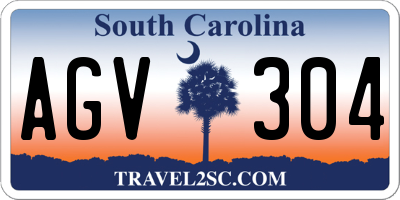 SC license plate AGV304
