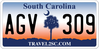 SC license plate AGV309