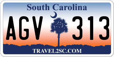 SC license plate AGV313