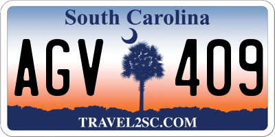 SC license plate AGV409