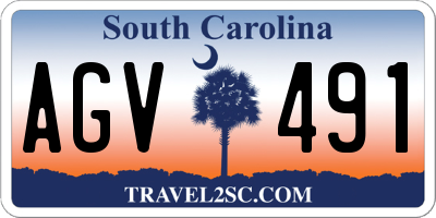 SC license plate AGV491