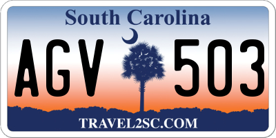 SC license plate AGV503
