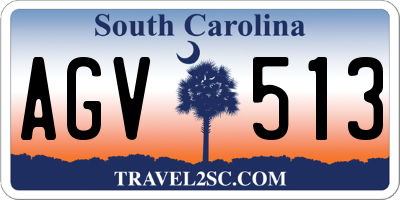 SC license plate AGV513