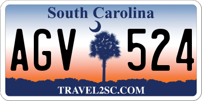 SC license plate AGV524