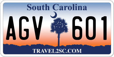 SC license plate AGV601