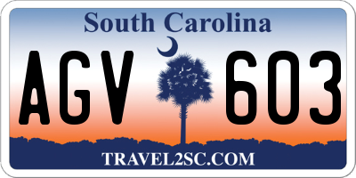 SC license plate AGV603