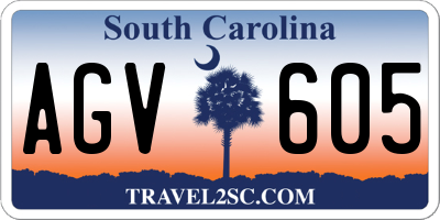 SC license plate AGV605