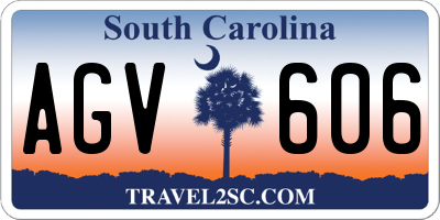 SC license plate AGV606