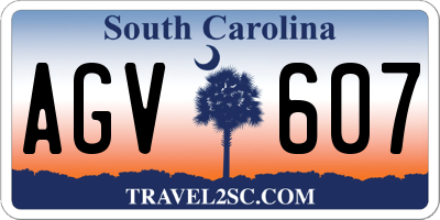 SC license plate AGV607