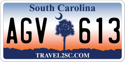 SC license plate AGV613