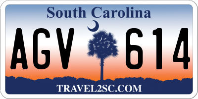 SC license plate AGV614