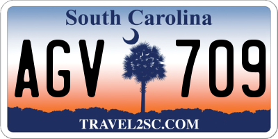 SC license plate AGV709