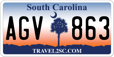 SC license plate AGV863