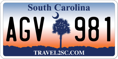 SC license plate AGV981
