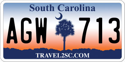SC license plate AGW713