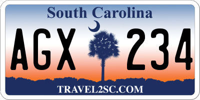 SC license plate AGX234