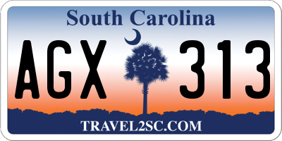 SC license plate AGX313