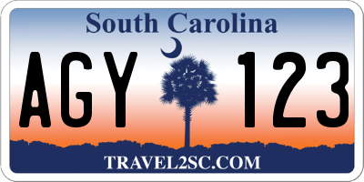 SC license plate AGY123