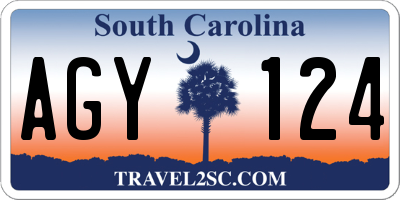 SC license plate AGY124