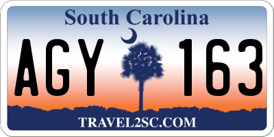 SC license plate AGY163