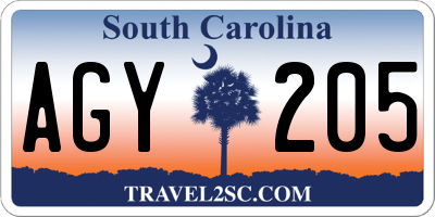 SC license plate AGY205