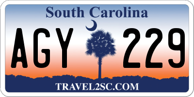 SC license plate AGY229