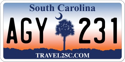SC license plate AGY231