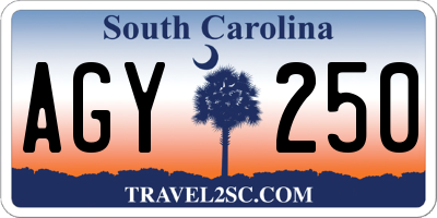 SC license plate AGY250
