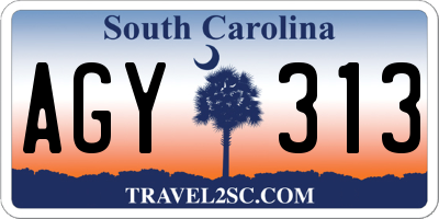 SC license plate AGY313