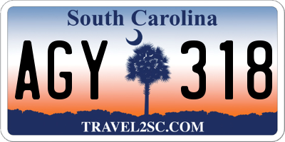SC license plate AGY318