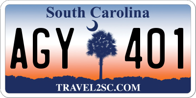 SC license plate AGY401