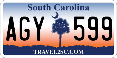 SC license plate AGY599