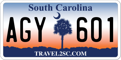 SC license plate AGY601